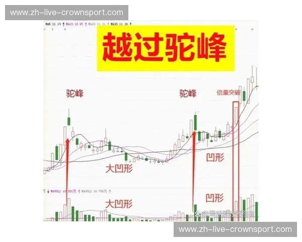 赔率背后的智慧：如何通过精确分析赢得每一场竞争